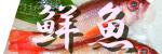 �Ƃꂽ�đN���i��E���E�E