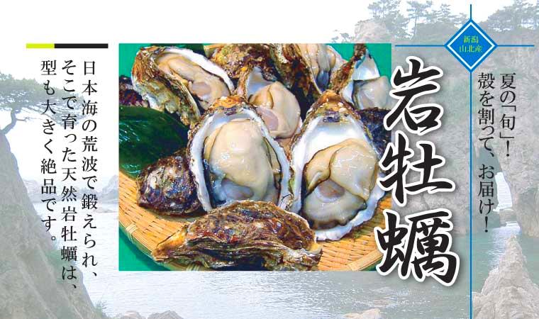 ���여��̓V�R�≲�y