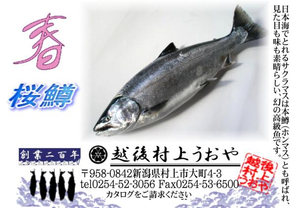�z�㑺�イ����