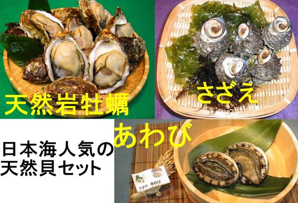 �V�R��J�L�@�A���r�@�T�U�G