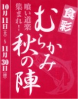 �ނ炩�ݏH�̐w