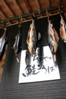 �������΁@���������