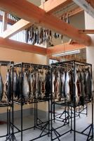 �������΁@���������