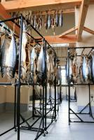 �������΁@���������