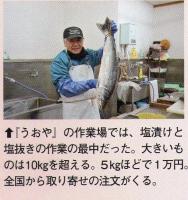 �T���C���z����̍������\����