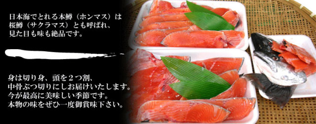 �T�N���}�X�@�����@�{��