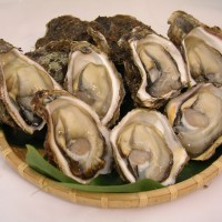 天然岩牡蠣