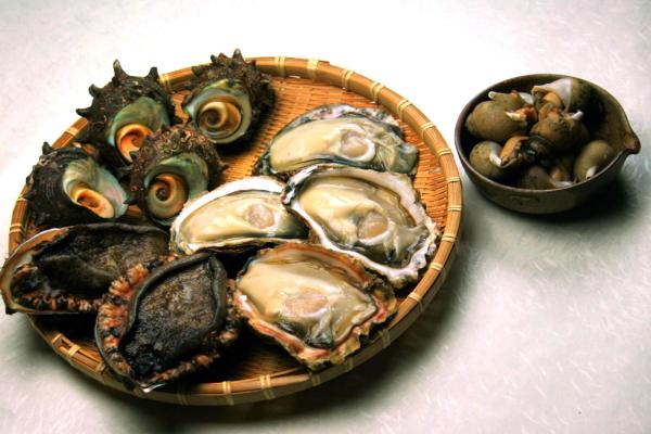 日本海天然貝セット