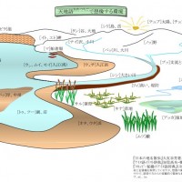 鮭(いおぼや)と古環境