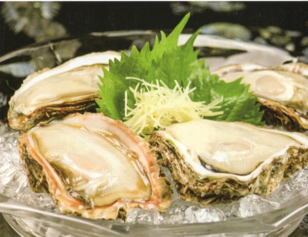 日本海の夏の味覚と言えば、岩牡蠣。