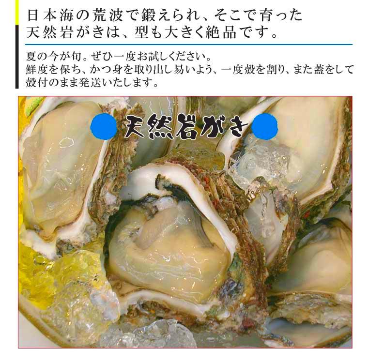 天然岩がき 夏の今が旬!