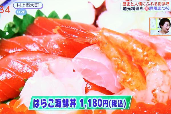 たっぷりのはらことその他マグロや南蛮海老など海鮮