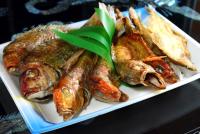 浜焼セット