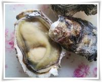 天然岩牡蠣 殻を予め開けてから蓋をして