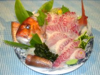天然真鯛