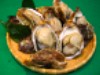 天然岩牡蠣（かき）