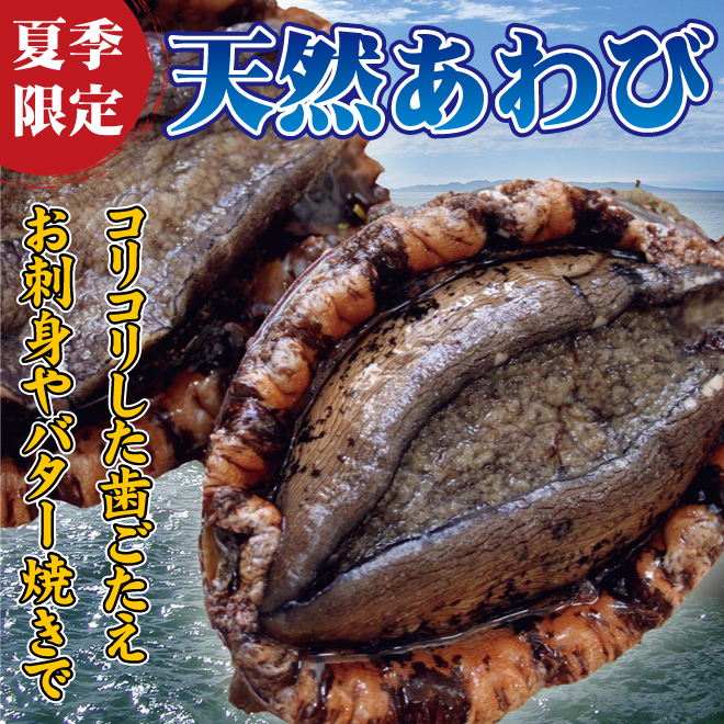 あわびのご紹介 アワビ料理 レシピ 鮭のふるさとで創業二百年 越後村上うおや