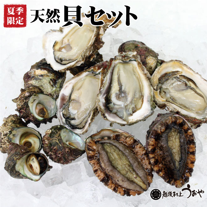 日本海天然貝セット（岩牡蠣、アワビ、サザエ）|鮭の町村上で創業200年の老舗　越後村上うおや