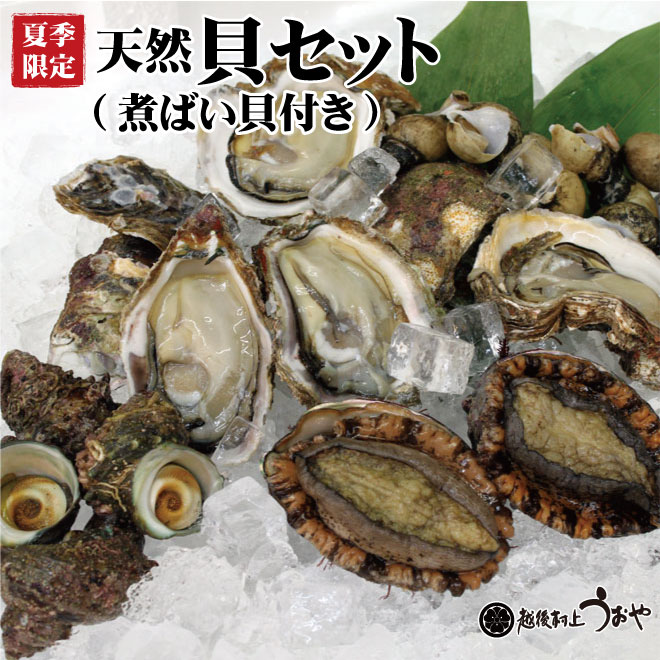 天然貝セット（岩牡蠣、アワビ、サザエ、煮バイ貝）