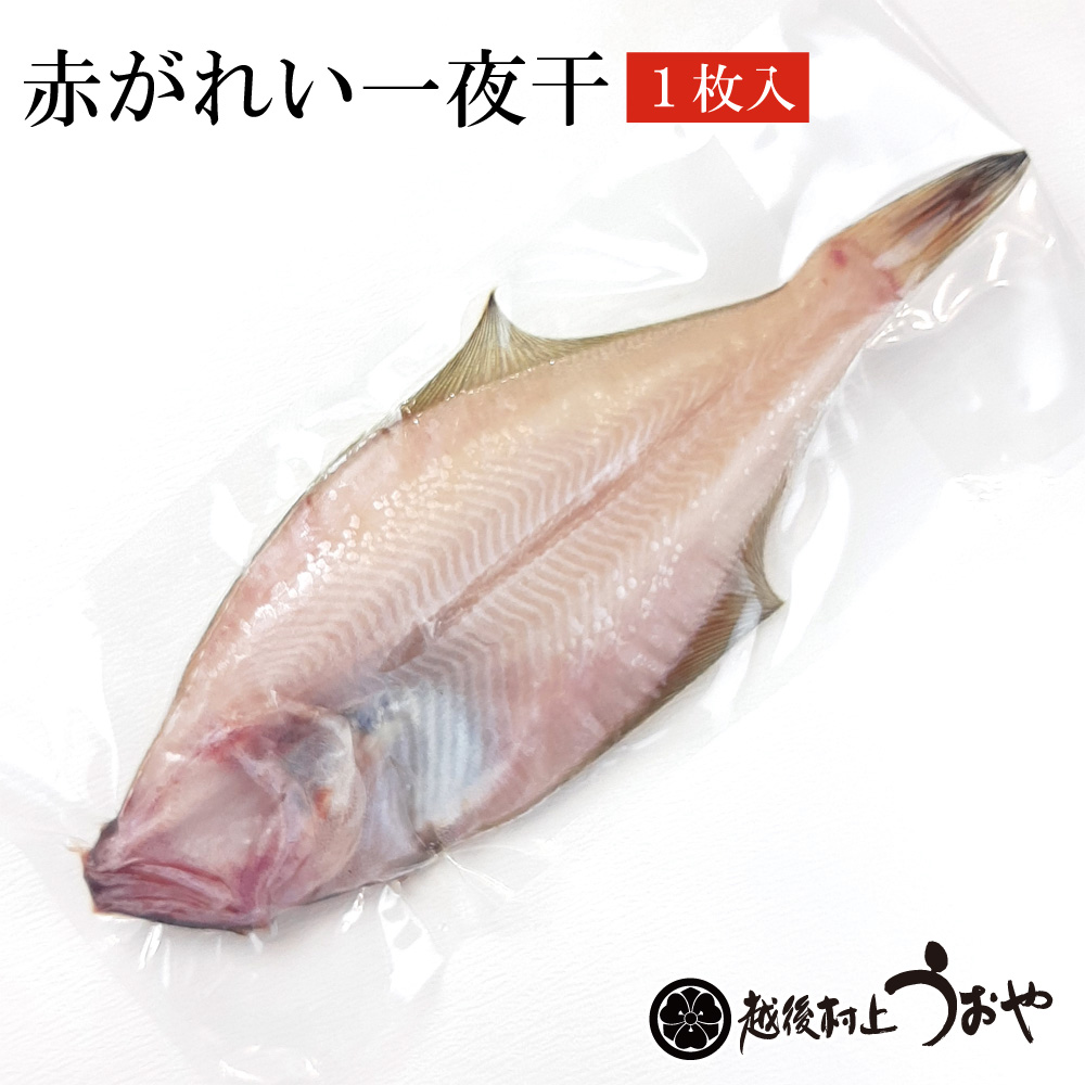 赤がれい一夜干
