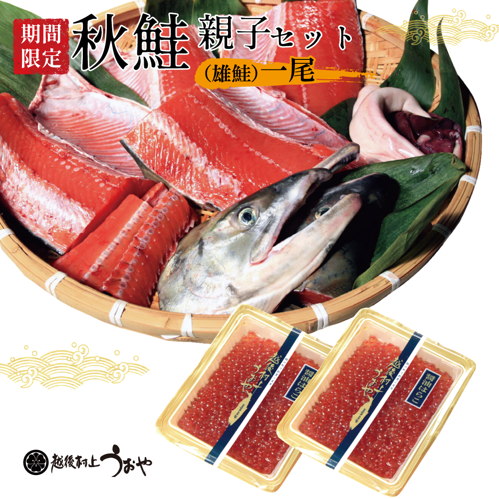 秋鮭(一尾)親子