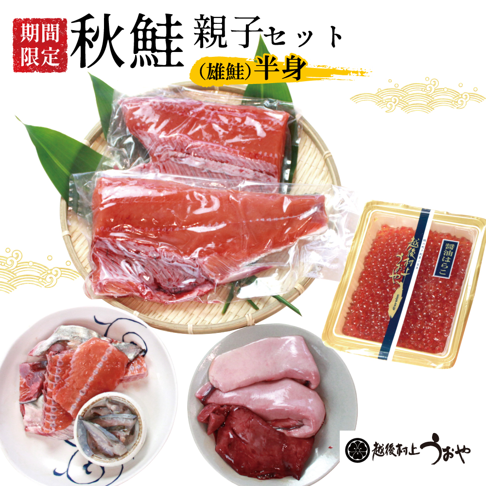 秋鮭(半身)親子