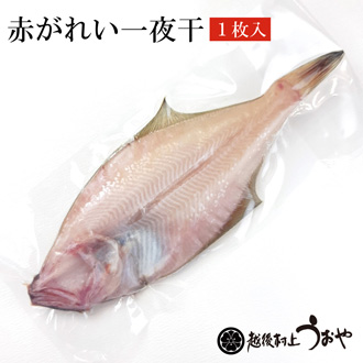 赤がれい一夜干