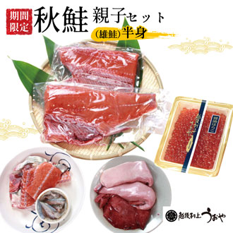 秋鮭親子セット
