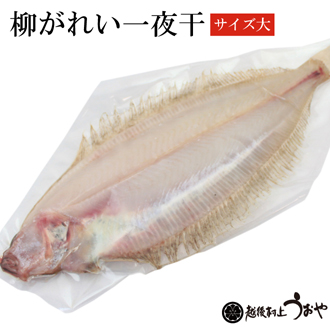 柳カレイ一夜干(大サイズ）