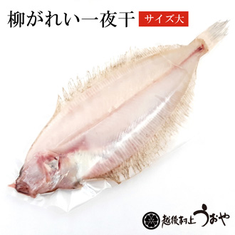 柳カレイ一夜干(大サイズ）