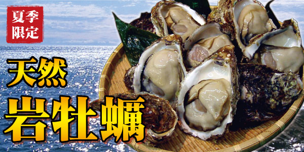 天然岩牡蠣