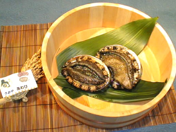 日本海天然貝セット（岩牡蠣、アワビ、サザエ、煮バイ貝）|鮭の町村上で創業200年の老舗　越後村上うおや