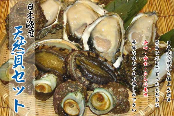 あわび、岩牡蠣、さざえ　天然貝セット