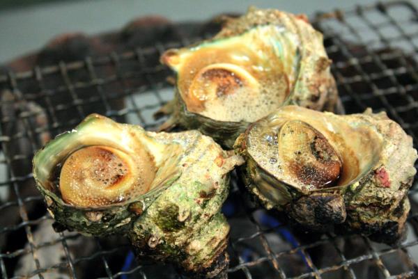 さざえ壷焼きコンロ上２