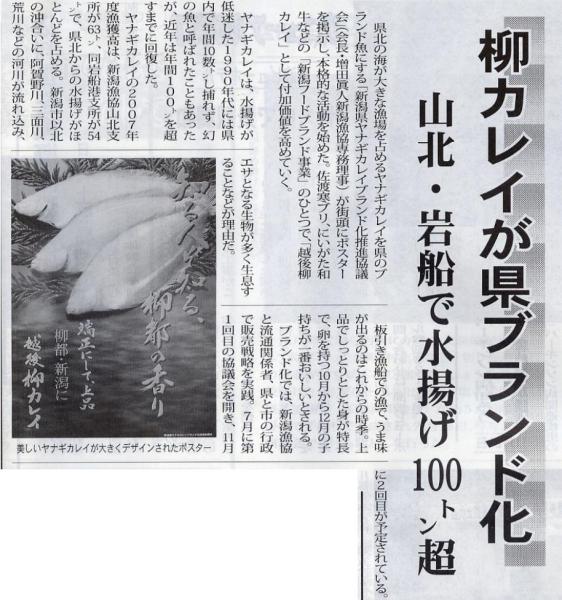 柳カレイ