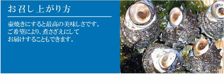 さざえお召し上がり方