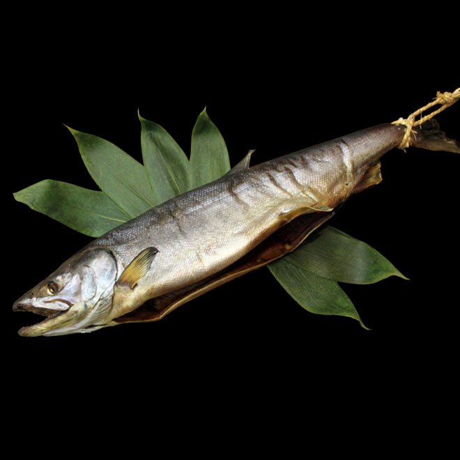 塩引鮭 丸のまま