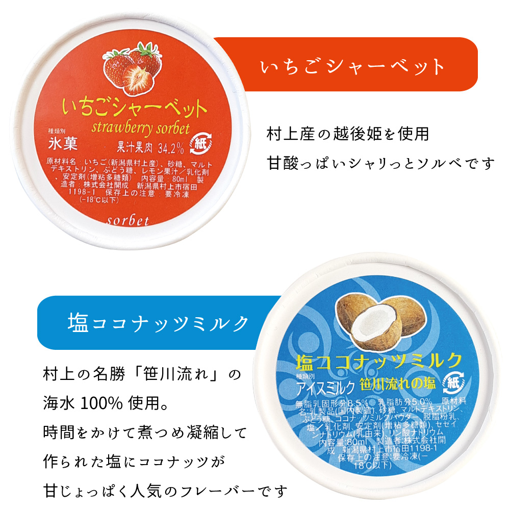 夏季限定ジェラート10個詰合せ