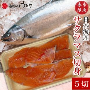 サクラマス（本鱒）切り身５切