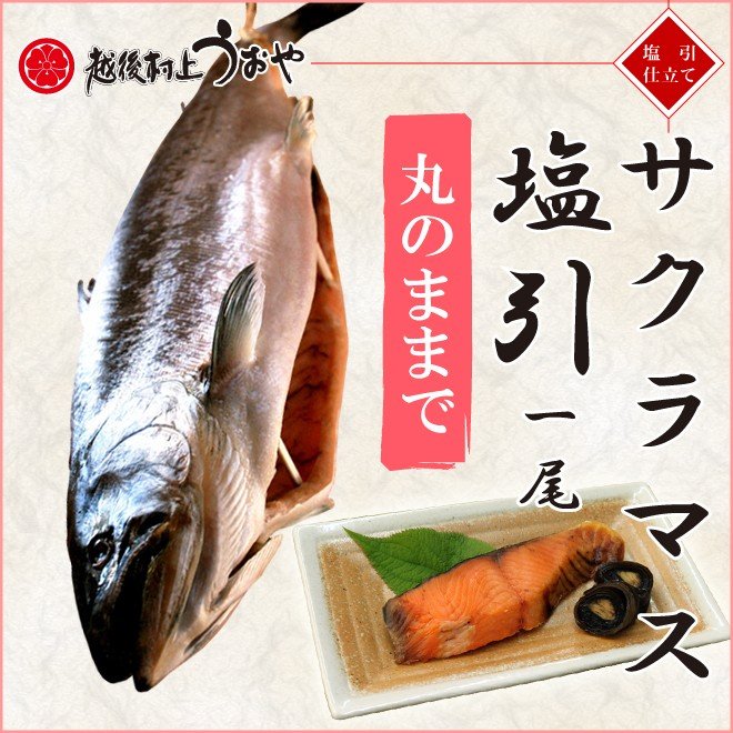 サクラマス塩引