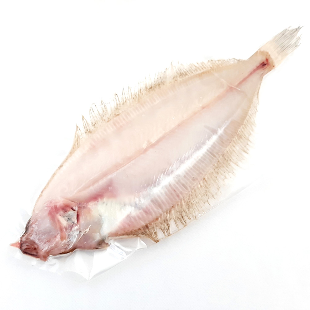 やなぎかれい一夜干