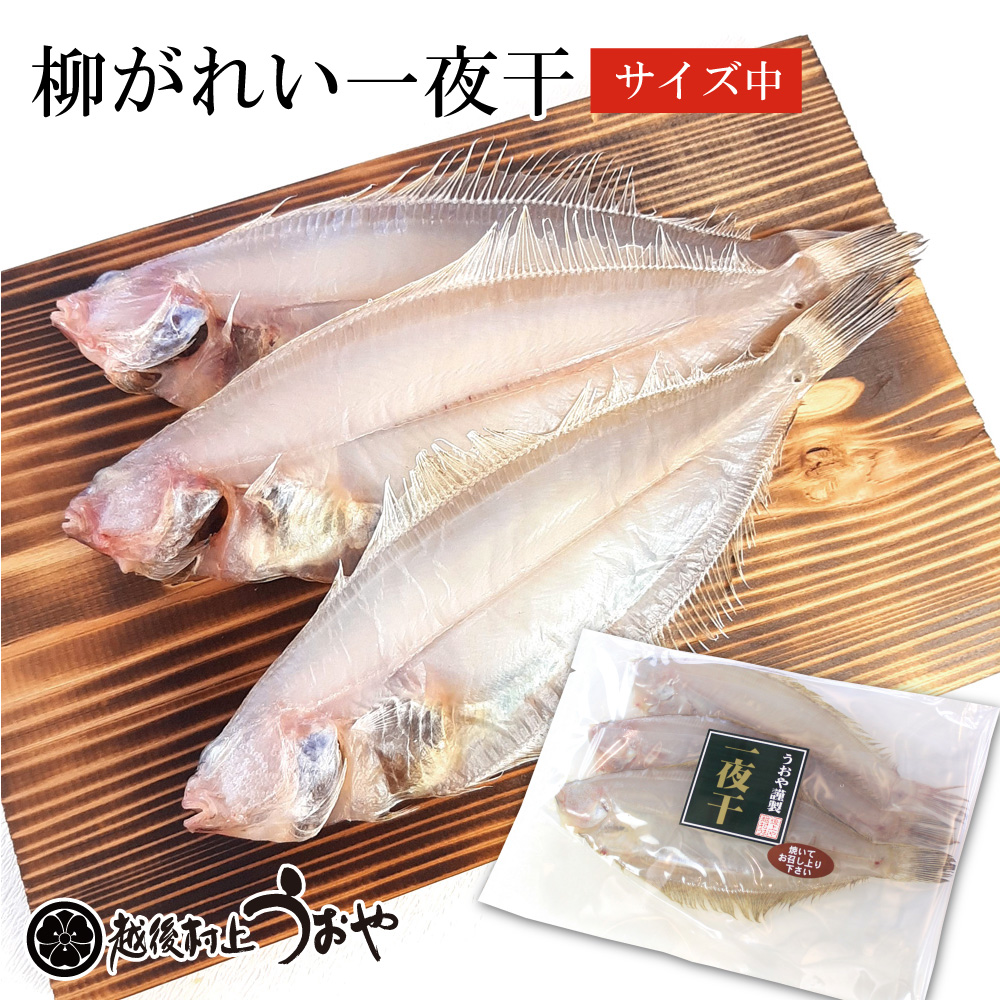柳カレイ一夜干 中サイズ